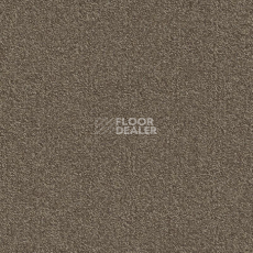 Ковровая плитка Modulyss Millennium Nxtgen Millennium Nxtgen 140 фото 1 | FLOORDEALER